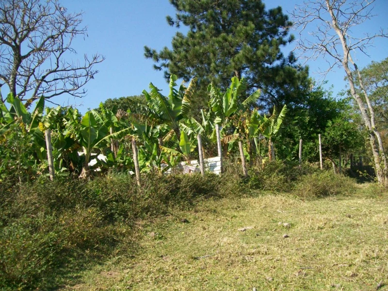 Chácara em  — foto 5