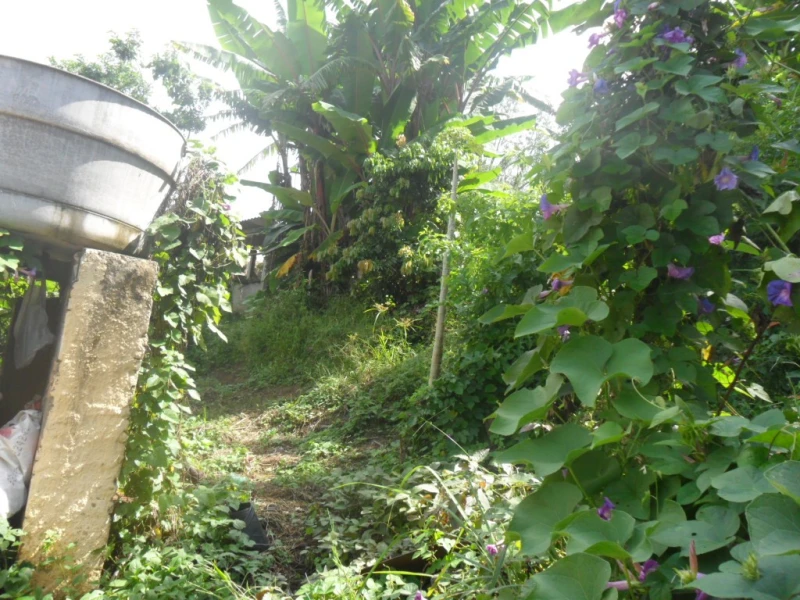 Casa em  — foto 36