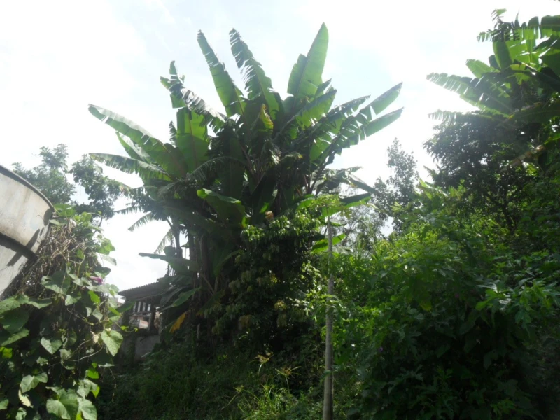 Casa em  — foto 40