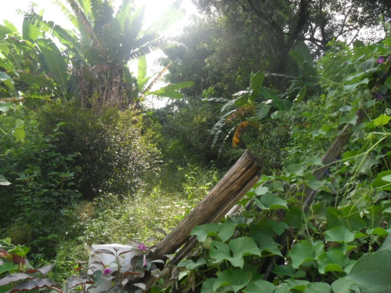 Casa em  — foto 41