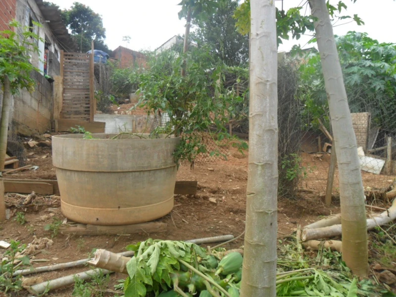 Casa em Perus — foto 4