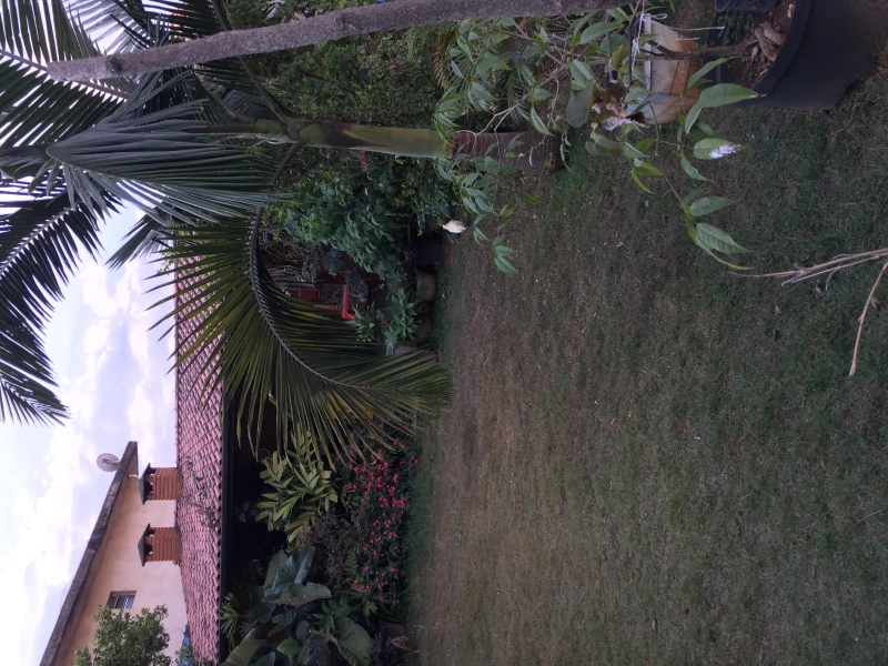 Casa em Perus — foto 5
