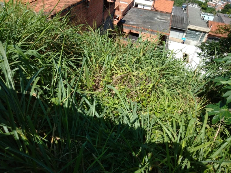 Casa em Perus — foto 23