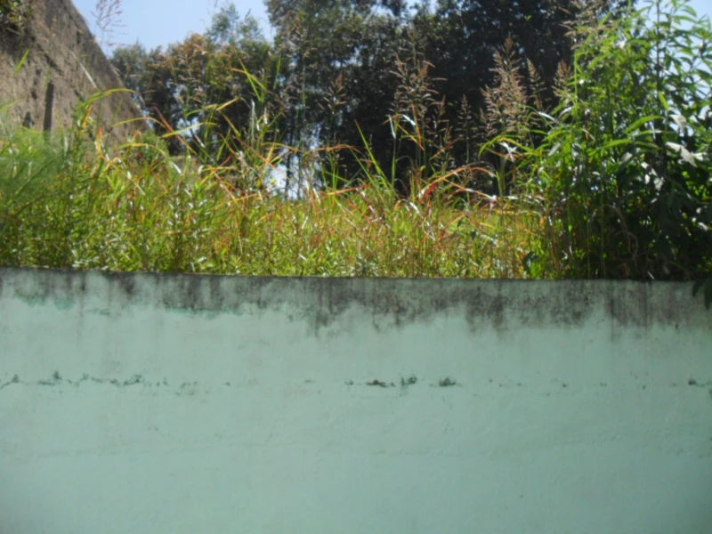 Casa em Perus — foto 11