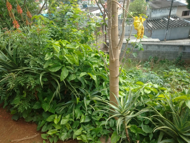 Casa em Jaraguá — foto 11