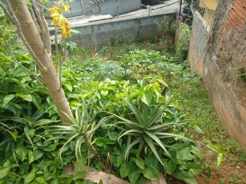 Casa em Jaraguá — foto 9