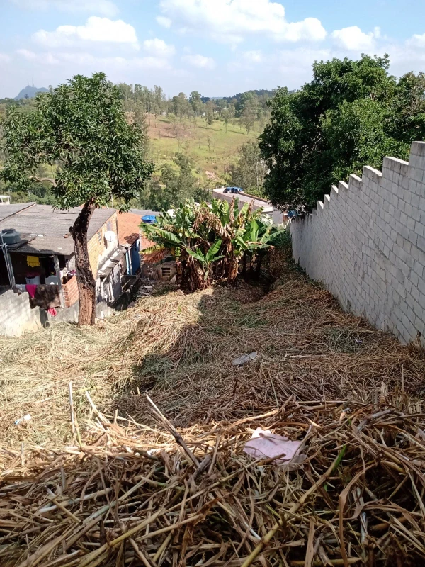 Terreno em Perus — foto 4