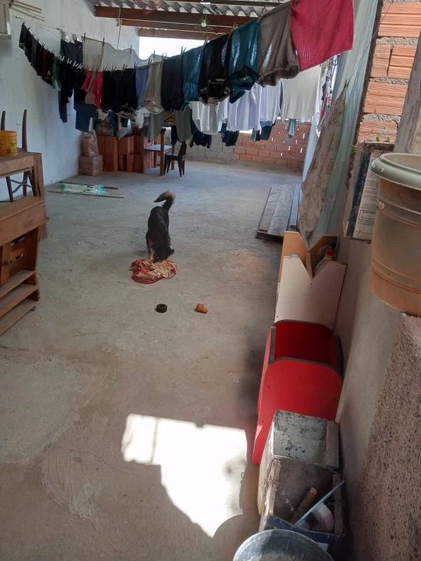Sobrado em PERUS — foto 13