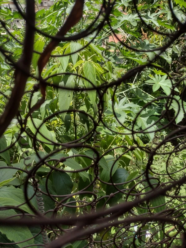 Casa em Serpa — foto 5