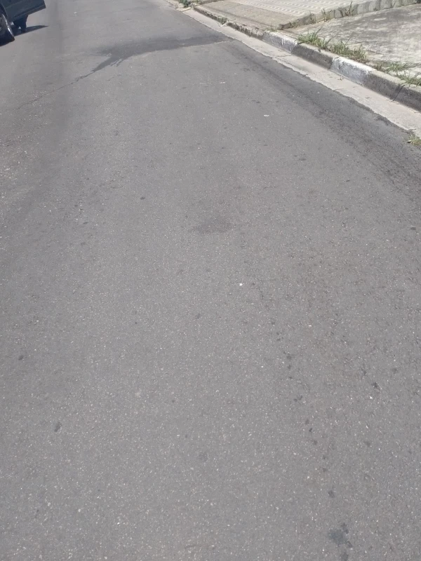 Terreno em Serpa — foto 5