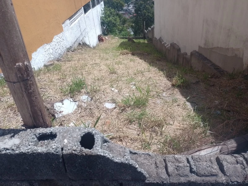 Terreno em Serpa — foto 4