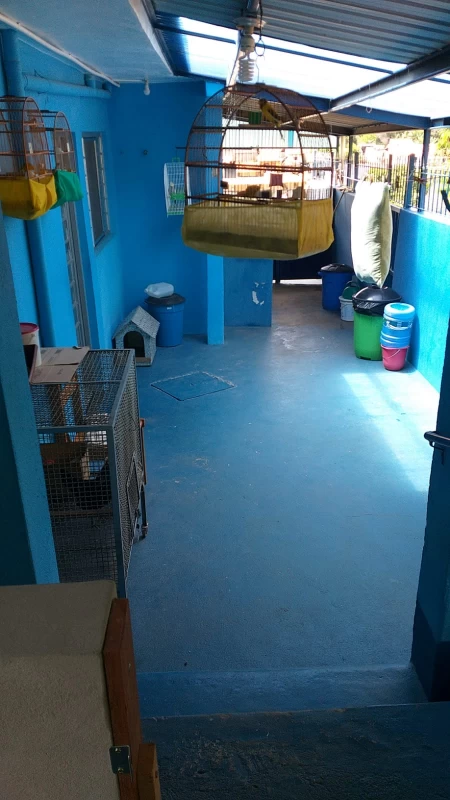 Casa em Vila Fanton — foto 46