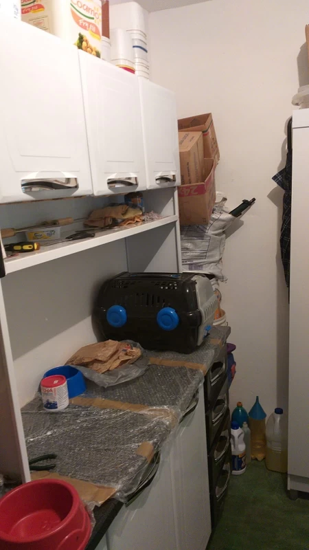 Casa em Vila Fanton — foto 8