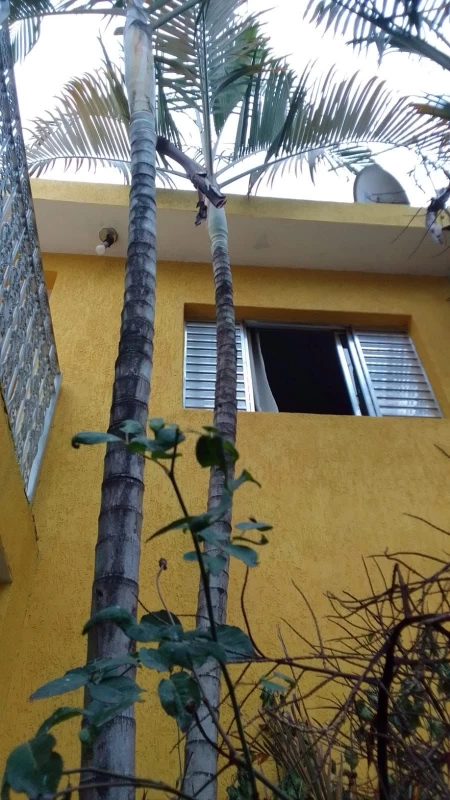 Sobrado em PERUS — foto 4