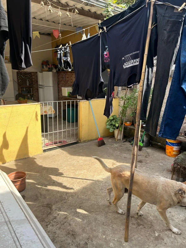 Casa em Jardim Russo — foto 17