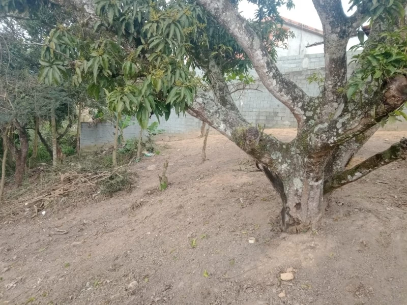 Terreno em JD. DAS COLINAS — foto 12