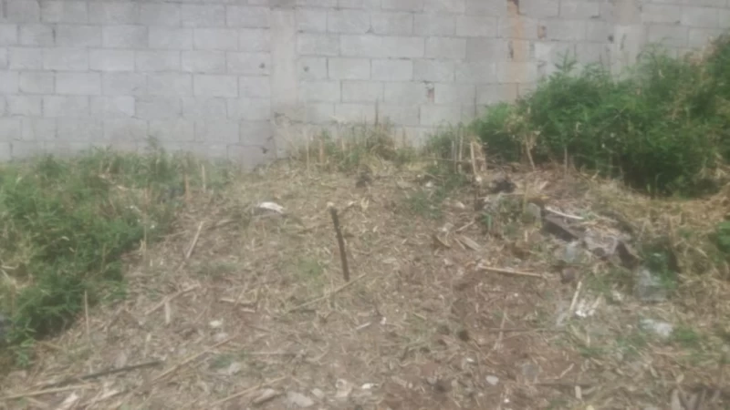 Terreno em SERPA — foto 2