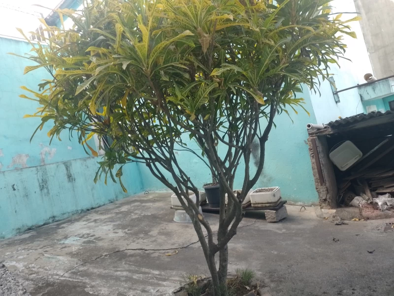 Sobrado em PERUS — foto 40