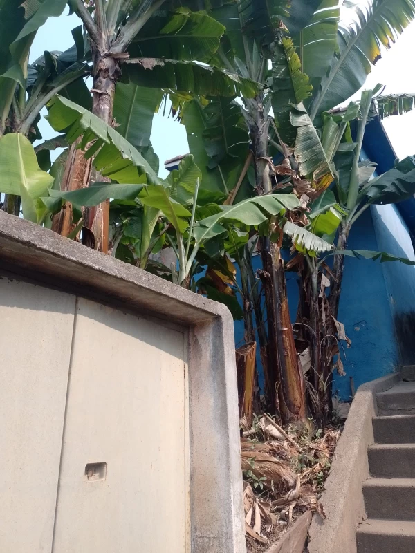 Casa em Jardim Russo — foto 3