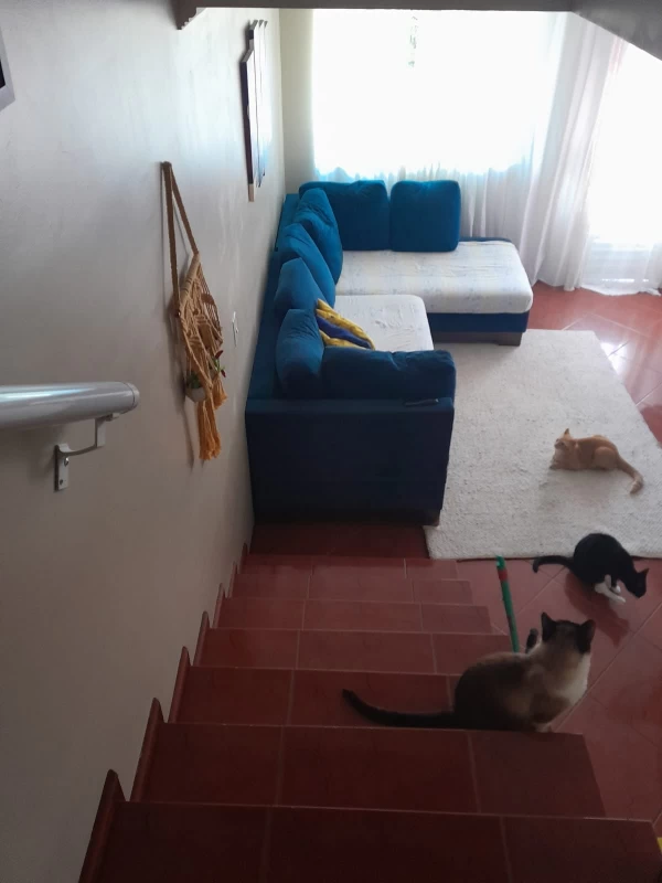 Sobrado em PERUS — foto 10