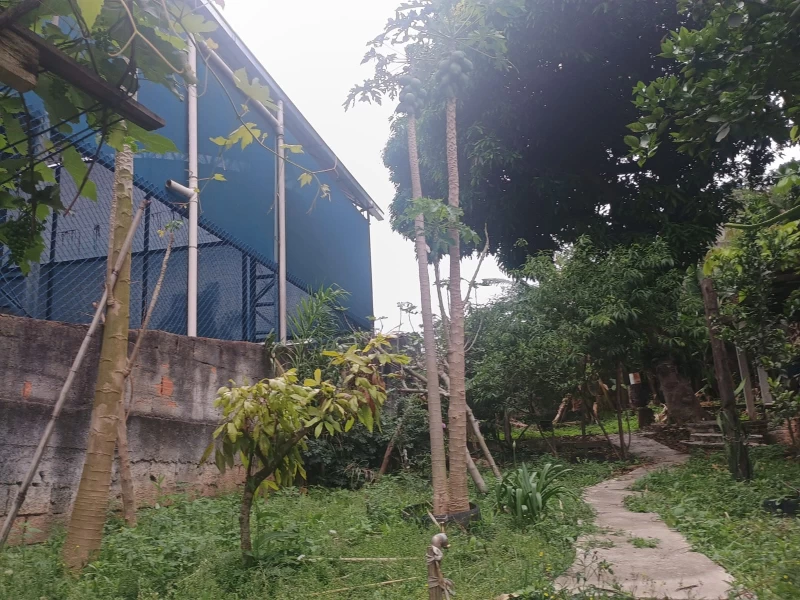 Casa em PERUS — foto 8