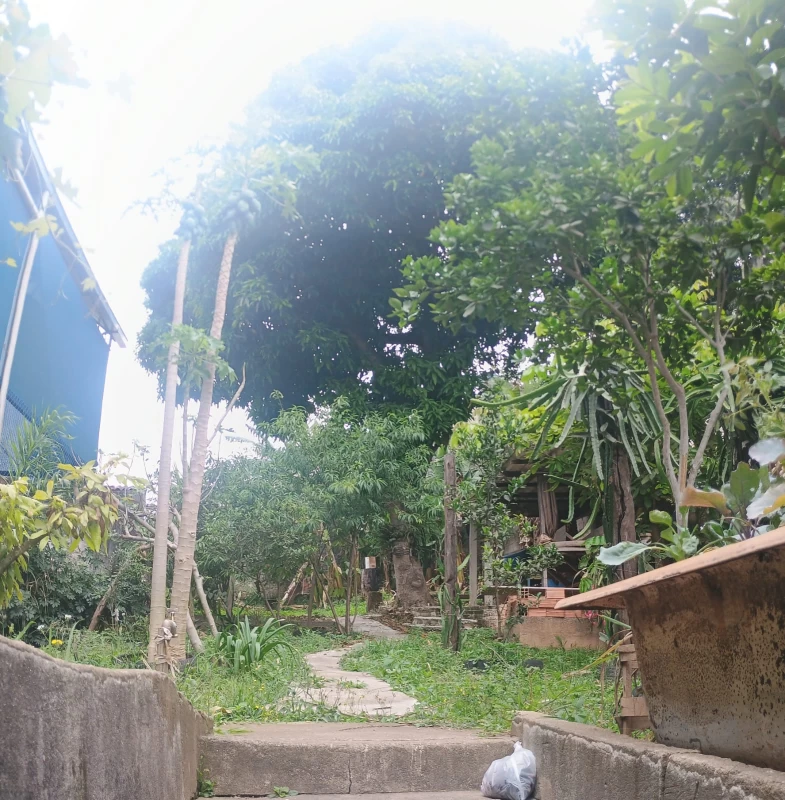 Casa em PERUS — foto 10