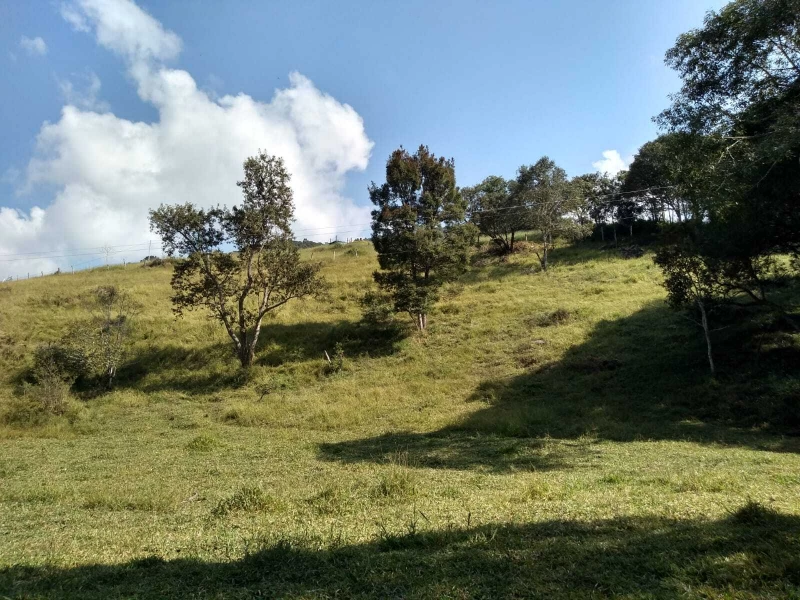 Chácara em SUL DE MINAS — foto 1