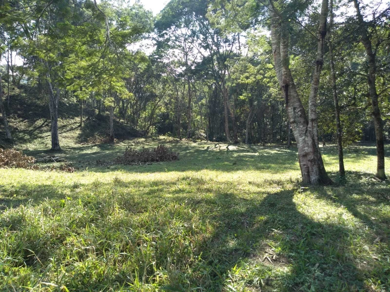 Chácara em SUL DE MINAS — foto 3