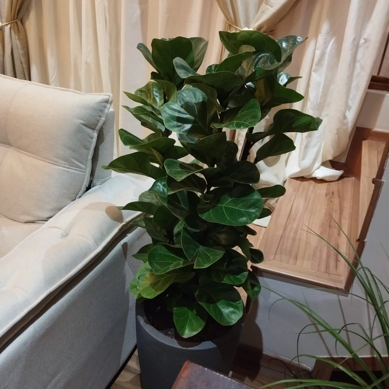 Casa em Vila Inácio — foto 23