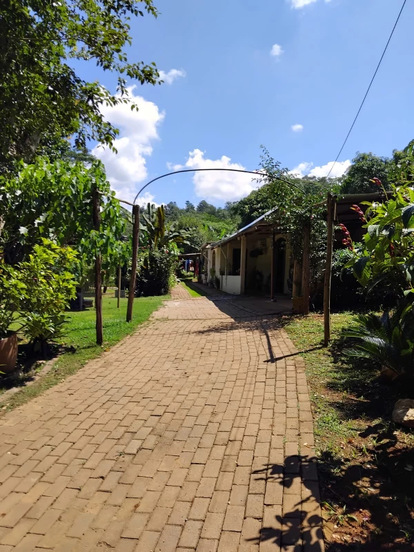Chácara em Vau Novo — foto 26