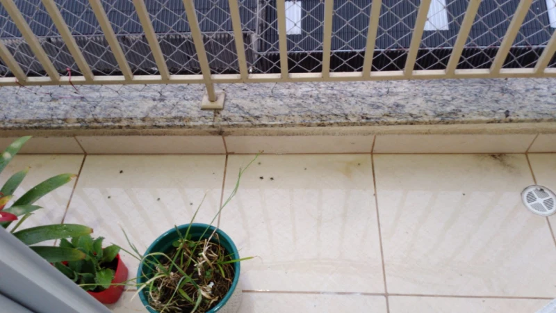 Apartamento em Vila Caiúba — foto 12