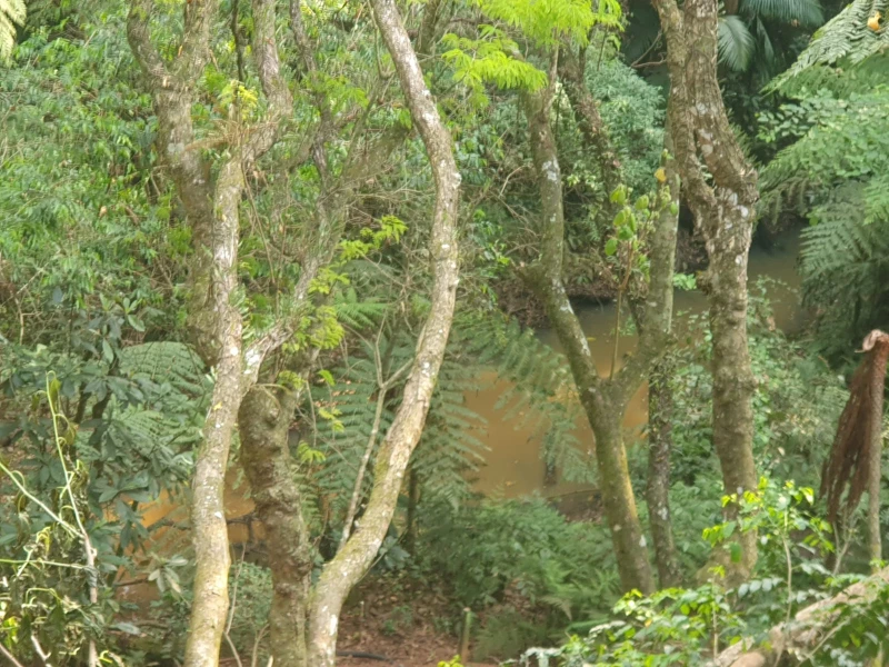 Casa em Jardim Santa Fé (Zona Oeste) — foto 9