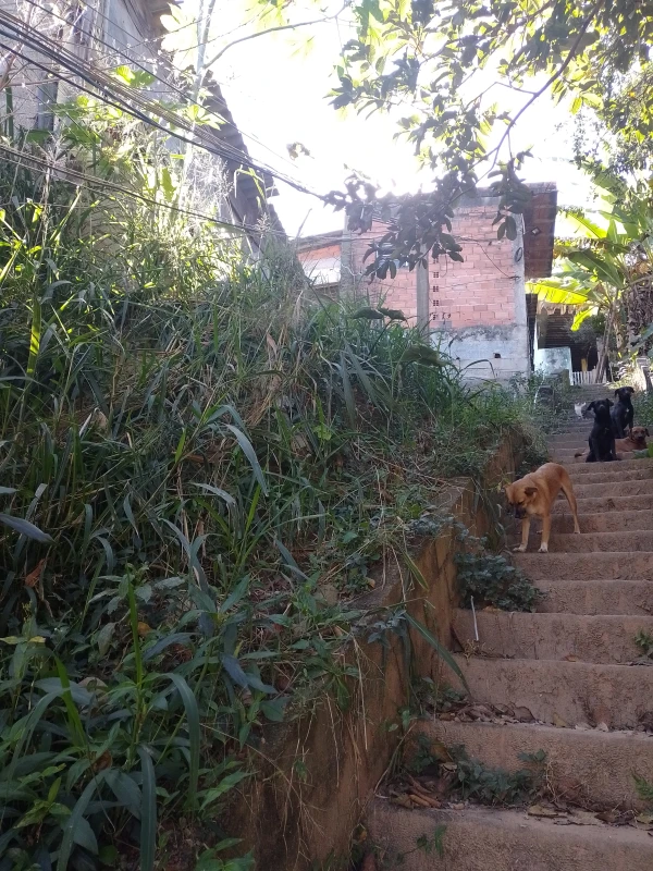 Terreno em Perus, São Paulo