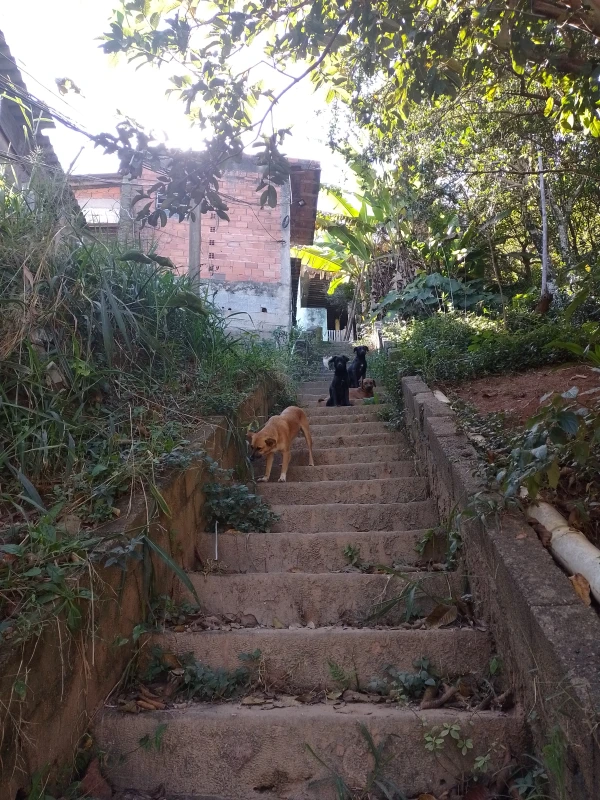 Terreno em Perus — foto 2