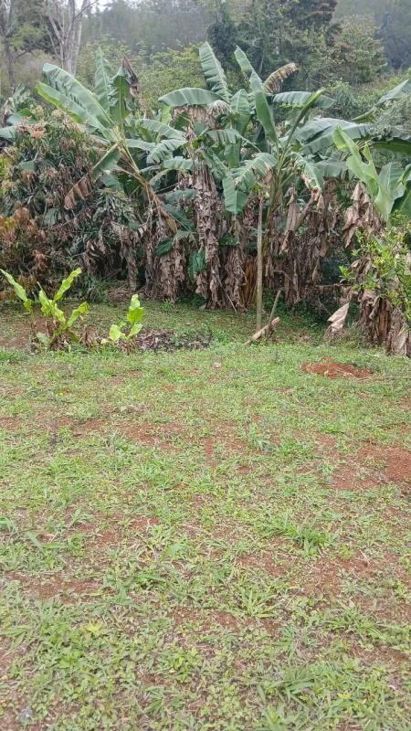 Chácara em Vau Novo — foto 2