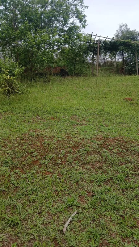 Chácara em Vau Novo — foto 4